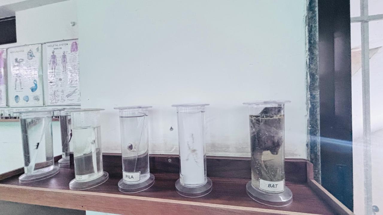 composite lab  MDS International school